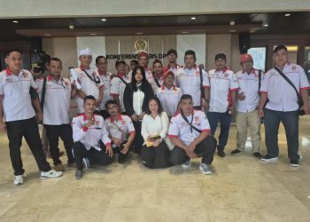 Susunan Pengurus DPN RBPI